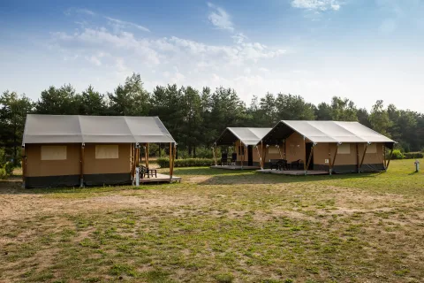 Tentes safari au Camping GT Keiheuvel en Belgique, installées sur une pelouse devant une forêt.