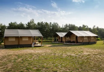 Tende safari al Camping GT Keiheuvel in Belgio, situate su un prato con alberi sullo sfondo.