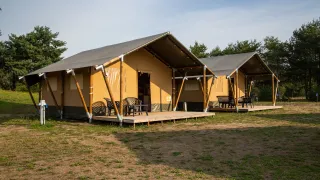 Twee moderne safaritenten met veranda en stoelen op een grasveld, omgeven door groene bomen.