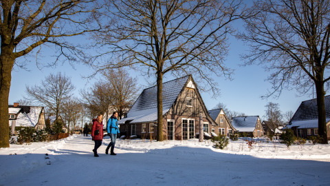 Wandern durch Schnee - Hof van Salland - Hellendoorn, Overijssel, Niederlande
