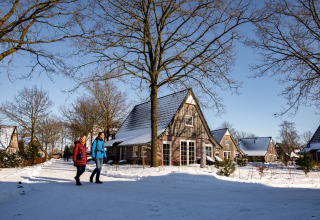 Wandern durch Schnee - Hof van Salland - Hellendoorn, Overijssel, Niederlande