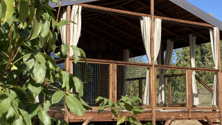 Lodge en bois avec rideaux blancs ouverts et rambarde grillagée, entourée de verdure en plein air.