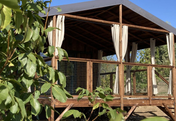 Cabaña de madera con cortinas blancas abiertas y barandilla de malla, rodeada de plantas verdes.