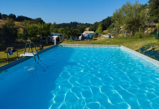 Outdoor swimming pool at Camping Suasa holiday park in Marche, Italy, surrounded by greenery and tents.