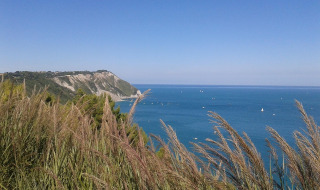 Scenic view of cliffs, the sea, and grassy foreground near Castelleone di Suasa, Marche, Italy, on a clear day.