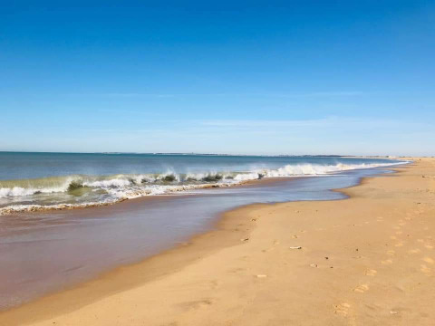 Rolig strand med blødt sand og bølger under en klar blå himmel i Pays de la Loire, Frankrig.