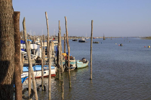 Boats moored along wooden docks in a scenic harbor at Flower Camping Le Pré des Sables, Pays de la Loire.