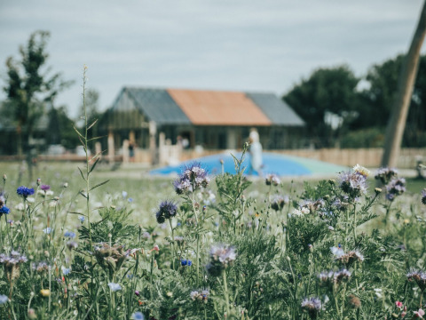 Stemningsbillede af blomster i park - De Klepperstee - Ouddorp, Zeeland, Holland