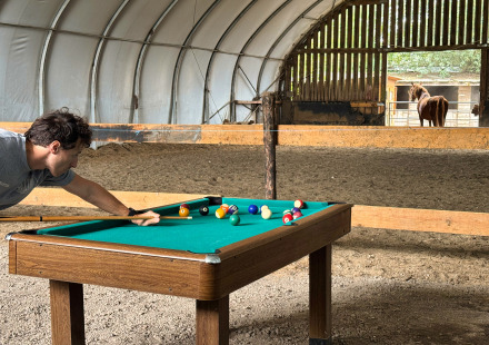 Man speelt pool op een tafel in een schuur met een paard op de achtergrond bij Feather Down Ecuries de Gapennes.