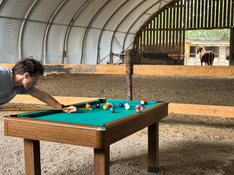 Man playing pool on a table inside a barn with a horse in the background at Feather Down Ecuries de Gapennes.