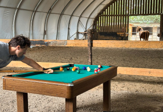 Man speelt pool op een tafel in een schuur met een paard op de achtergrond bij Feather Down Ecuries de Gapennes.