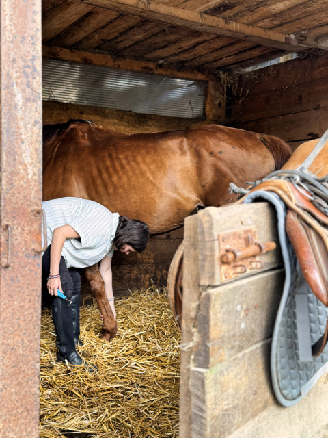 Iemand verzorgt de hoef van een paard in een stal met stro, zadel op de deur, Feather Down Ecuries de Gapennes.