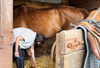 Iemand verzorgt de hoef van een paard in een stal met stro, zadel op de deur, Feather Down Ecuries de Gapennes.