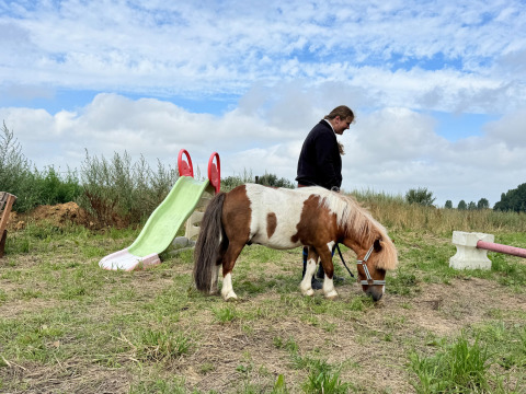 A person with a pony on grassy ground next to a slide at Feather Down Ecuries de Gapennes, Hauts-de-France.