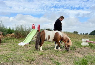 Een persoon met een pony naast een glijbaan op Feather Down Ecuries de Gapennes, Hauts-de-France.