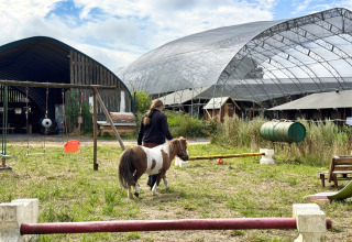 Mujer pasea un pequeño poni en Feather Down Ecuries de Gapennes, Hauts-de-France, Francia, al aire libre.