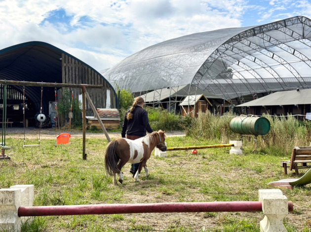 Vrouw loopt met een kleine pony bij Feather Down Ecuries de Gapennes, Hauts-de-France, Frankrijk.