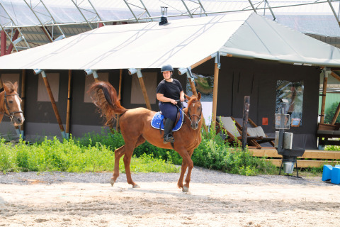 Persona montando un caballo frente a tiendas glamping en Feather Down Ecuries de Gapennes, Hauts-de-France.