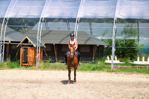 Person riding a brown horse under a canopy at Feather Down Ecuries de Gapennes, Hauts-de-France, France.