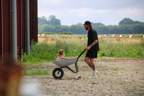Een man duwt een kruiwagen met een klein kind bij Feather Down Ecuries de Gapennes vakantiepark in Frankrijk.