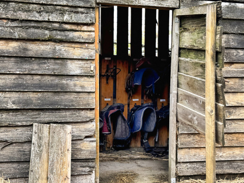 An old wooden shed with an open door showing saddles inside at Feather Down Ecuries de Gapennes, France.