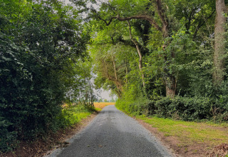 Asphaltstraße zwischen grünen Bäumen bei Feather Down Ecuries de Gapennes, Hauts-de-France, Frankreich.