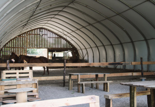 Interieur van een schuur bij Feather Down Ecuries de Gapennes met paarden, tafels en banken in Frankrijk.