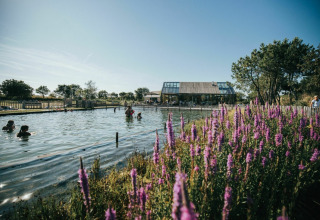 Natuurlijk zwembad met zwemmende mensen, paarse bloemen en glazen gebouw bij De Klepperstee, Nederland