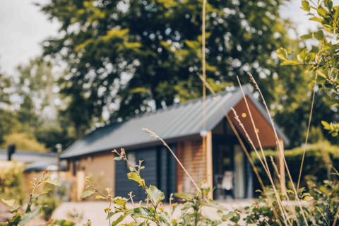 Photo de la tiny house Tiny Loft avec bain à remous à Veluwepark de Bosgraaf, Pays-Bas, entourée de verdure.