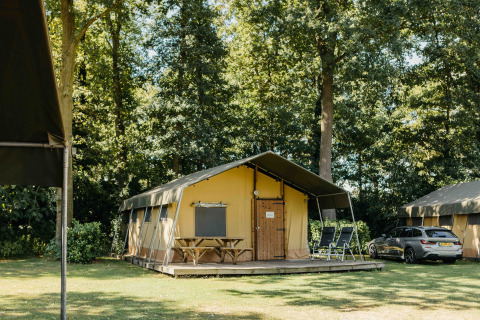 Safari telt med terrasse, borde og liggestole i en skovklædt campingplads med bil ved siden af.