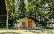 Safari telt med terrasse, borde og liggestole i en skovklædt campingplads med bil ved siden af.