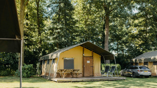 Safari telt med terrasse, borde og liggestole i en skovklædt campingplads med bil ved siden af.