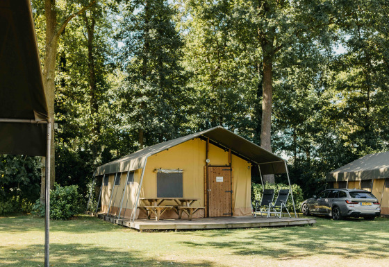 Safari telt med terrasse, borde og liggestole i en skovklædt campingplads med bil ved siden af.