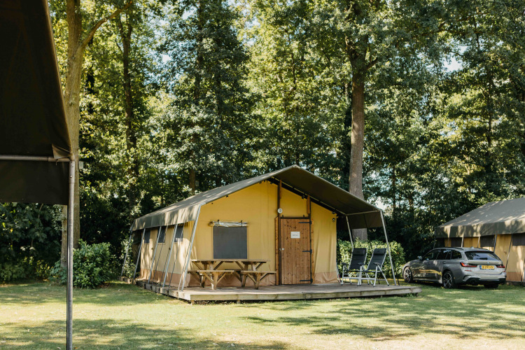 Tienda safari con porche de madera, bancos, tumbonas y coche estacionado en camping arbolado.