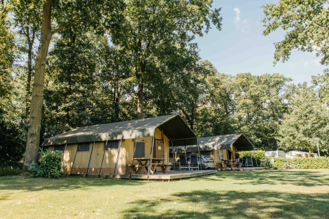 Safaritent op Recreatiepark Den Blanken in Nederland, omringd door bomen en grasveld.
