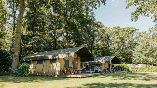 Safari-telt på Recreation Park Den Blanken i Holland med træer og græsplæne på en solskinsdag.