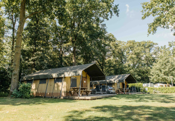 Safari-telt på Recreation Park Den Blanken i Holland med træer og græsplæne på en solskinsdag.