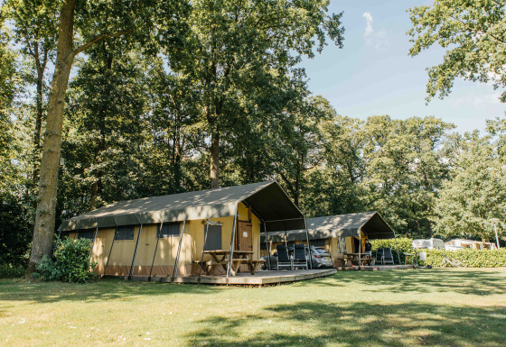 Safari tent at Recreation Park Den Blanken in the Netherlands, surrounded by trees and green grass.