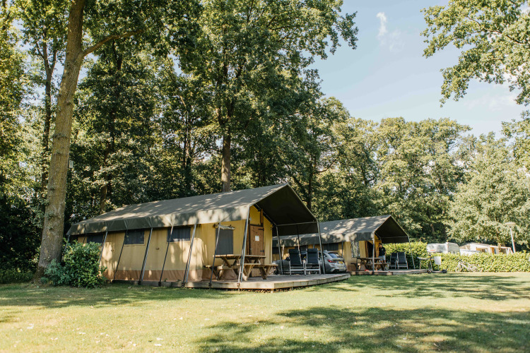 Tienda safari en el Recreation Park Den Blanken en los Países Bajos, rodeada de árboles y césped.