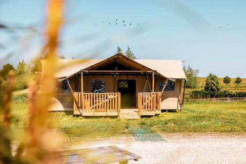Das Safarizelt Safarilodge Impala im Vakantiepark IJsselhof, Niederlande, steht auf einer grünen Wiese.