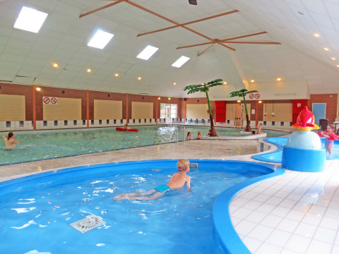 Piscine intérieure avec enfants, décor palmiers tropicaux et espace peu profond au Vakantiepark IJsselhof.