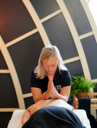 Massage _ wellness - Vakantiepark de IJsvogel - Voorthuizen, Gelderland, Nederland