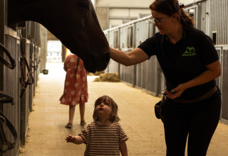 Ein Kind und eine Erwachsene treffen ein Pferd im Stall im Ferienpark Feather Down Het Keelven, Nordbrabant, Niederlande.