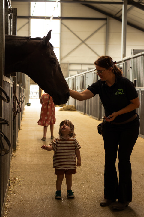 Een kind en een volwassene ontmoeten een paard in een stal op vakantiepark Feather Down Het Keelven in Noord-Brabant, Nederland.