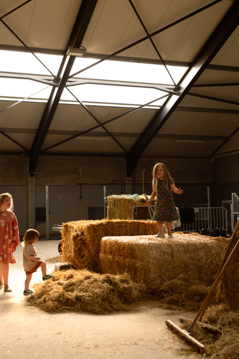 Des enfants jouent sur des bottes de foin dans une grange à Feather Down Het Keelven, Brabant-Septentrional, Pays-Bas.