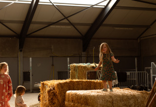 Des enfants jouent sur des bottes de foin dans une grange à Feather Down Het Keelven, Brabant-Septentrional, Pays-Bas.