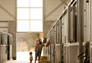 Un père avec deux enfants nourrit un cheval dans une écurie au Feather Down Het Keelven, parc de vacances en Brabant-Septentrional, Pays-Bas.