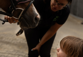 Un bambino con maglietta a righe incontra un cavallo mentre una donna osserva a Feather Down Het Keelven.