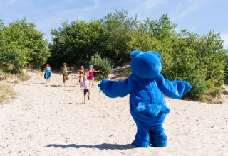 Animation in dune area - De Zandstuve - Rheeze, Overijssel, Netherlands