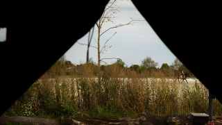 Uitzicht vanuit een tent op een picknicktafel en natuur bij Feather Down Het Keelven, Noord-Brabant.